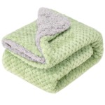 Fuzzy Sherpa Reversible Blanket for Baby, Soft Warm Cozy Coral Fleece Toddler, Infant or Newborn Reversible Blanket for Crib, Stroller, Travel, 4060, Pastel Green