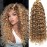 YXCHERISHAIR 8 Packs Curly Crochet Hair 18inch GoGo Curl Crochet hair for Women Deep Wave Braiding hair,Synthetic Bohemian Crochet Braid Water Wave Crochett hair Extensions(18inch,27)