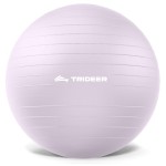Trideer Exercise Ball Yoga Ball,Office Seating & Balance Ball Chair, Stability Ball for Pilates, Physical Therapy,Core Training & Balance Improvement & Stretching (Light Purple, L(23-26ines/58-65cm))