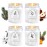 Winter Candle Gift Set, 4 Pack 28oz Soy Wax Scented Candles for Home - Cinnamon Apple, Balsam Fir, Vanilla Bean, Cedarwood & Amber - Cozy Aromatherapy Candles for Christmas, Holiday & Home Decor Gifts