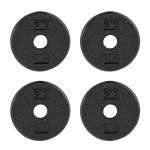 CAP Barbell Cast Iron Standard 1-Inch Weight Plate Set - Barbell Weights for Home Gym, Strength Training, and Weightlifting, 2.5 lb Set of 4, Black