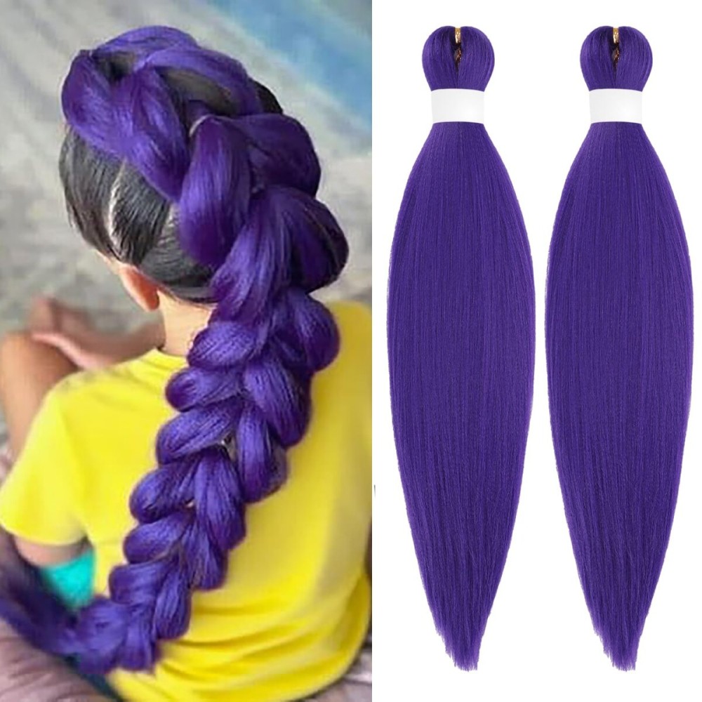 Dorsanee Long Purple Braiding Hair Extensions Rumi Wig Hair Pre Stretched Braids 20 Inch 2 Packs Synthetic Crochet Twist Braids Halloween Costume Cosplay