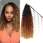 Goddess Boho Box Braids Crochet Hair-8 Packs 14 Inch Crochet Box Braids for Black Women Pre Looped (1B/30/27, 14 Inch (Pack of 8))